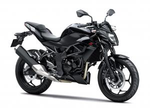 Kawasaki Z250SL
